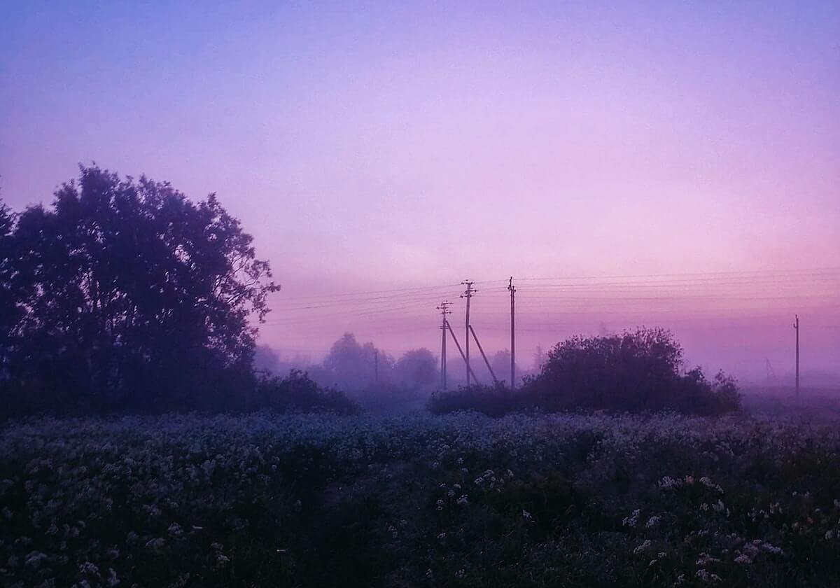 大发体育官方网站——体验极致体育竞技的线上新境界